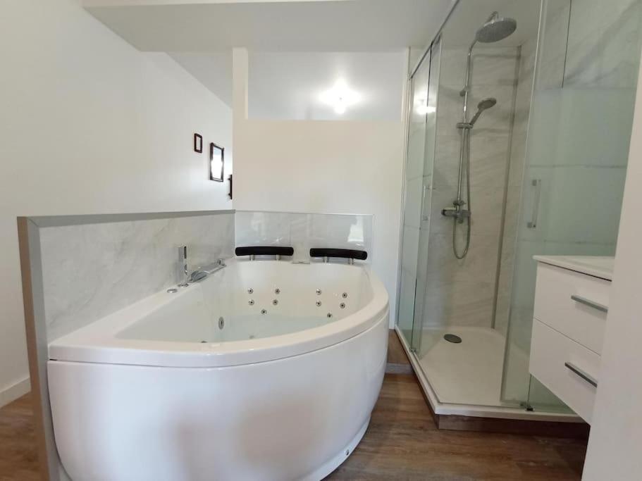 Sejour Sauna Et Jacuzzi Cocon Apartment La Roche-sur-Yon Exterior photo